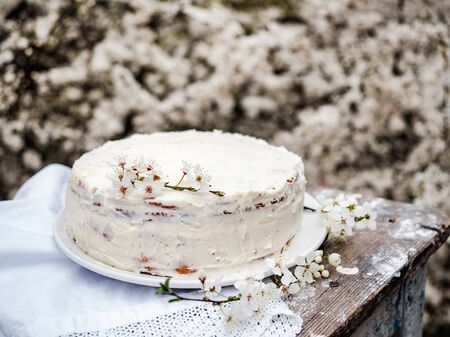 Flowering tree and fresh, homemade cake. Close-up