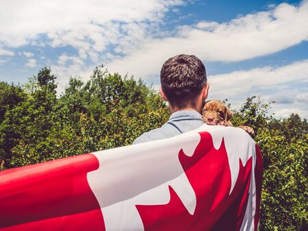 Attractive man holds a charming puppy on a background of blue sky on a clear, sunny day. Outdoor, close-up. National holiday conceptの写真素材