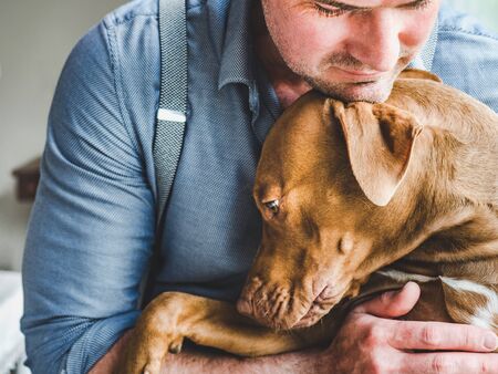 Handsome man hugging a charming puppy. Close-up, indoors. Studio photo, white color. Concept of care, education, obedience training and raising petsの写真素材