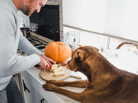 Handsome man and an adorable, pretty puppyの写真素材