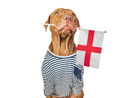 Lovable, pretty dog and Flag of England