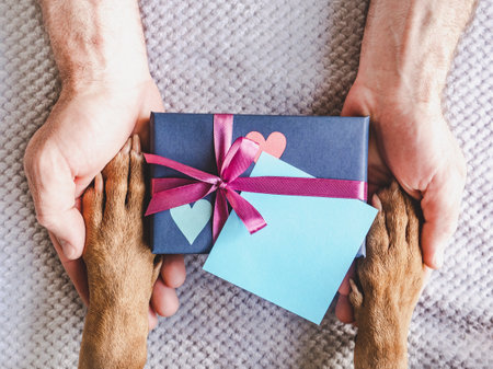 Dog paws, male hands, gift box and blank note for a congratulatory inscription. Top view. Closeup, indoors. Congratulations for family, relatives, loved ones, friends and colleagues. Pet care conceptの写真素材