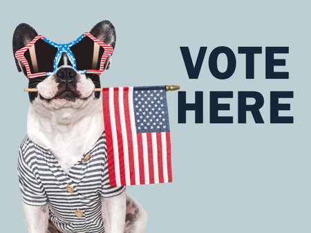 VOTE HERE. US Elections. 2024 Presidential Election. Adorable puppy and American Flag. Close-up,...