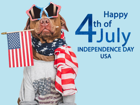 Happy Independence Day. American Flag, cute dog and congratulatory inscription. Closeup, indoors. Studio shot. Congratulations for family, loved ones, friends and colleagues. Pets care conceptの写真素材