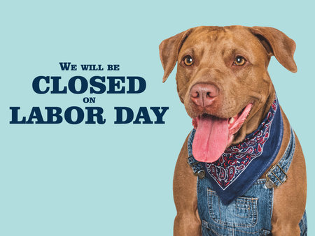 Signboard with the inscription We will be closed on Labor Day. Cute puppy and tools. Closeup. Studio shot. Congratulations for family, loved ones, friends and colleagues. Pets care conceptの写真素材