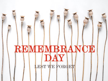 Remembrance Day. Lest we forget. We Will Remember. Greeting card with congratulatory inscription. National holiday concept. Congratulations for family, relatives, friends, colleaguesの写真素材