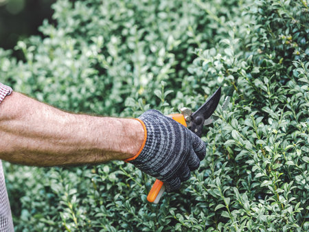 Attractive man, work clothes and hand pruner. Pruning Plants. Close-up, outdoors. Plant Care Conceptの写真素材
