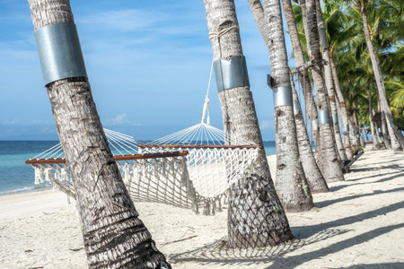Stunning views of an empty beach, palm trees, and a hammock on a wonderful island. Clear, sunny day, warm sunlight. No people, outdoors. Concept of leisure and travelの写真素材