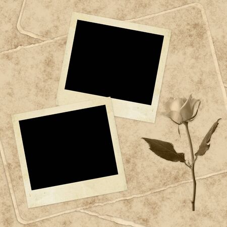 Vintage card for the holiday  with rose on the abstract backgroundの写真素材