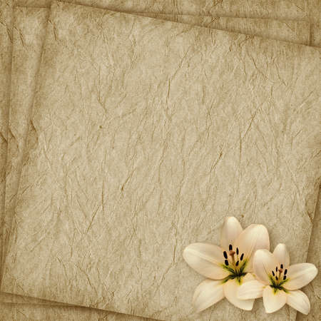 Vintage card for the holiday with flower on the abstract backgroundの写真素材