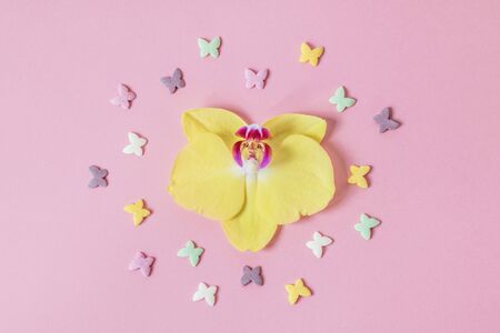 A yellow Orchid flower surrounded by a sprinkling of butterflies. Sweet decoration.の写真素材
