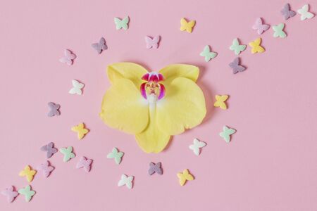 A yellow Orchid flower surrounded by a sprinkling of butterflies. Sweet decoration.の写真素材