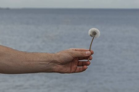 A man's hand holds a dandelion against the sea and sky