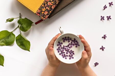 In children's hands, a Cup of milk and lilac flowers. Books and leaves with lilac flowers are spread out on the table.の写真素材