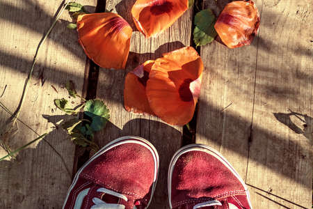 On an old wooden bridge in the garden, sneakers and orange poppy petals. Summer in the village. Top view.の写真素材