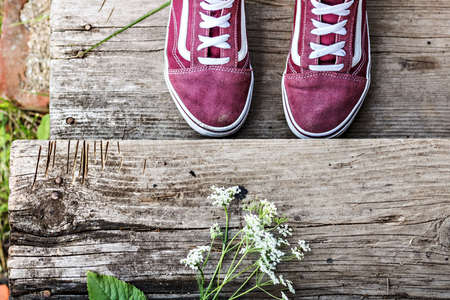 Vase with a bouquet of wild flowers through the wet window glass at sunset. Autumn season.の写真素材