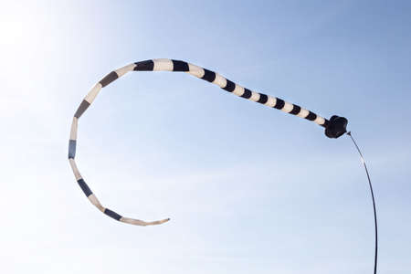 A yellowed fallen fig leaf against a background of blue sky and sun. Autumn season.の写真素材