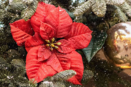 A pinecone on a silver Christmas tree. Outdoor Christmas decorations.Christmas backgroundの写真素材