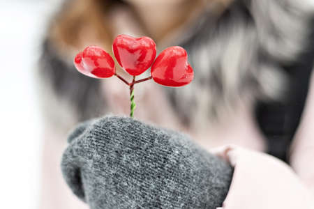 The girl holds in her hands, which are in mittens, a bouquet of red hearts. The concept of Valentine's day.の写真素材