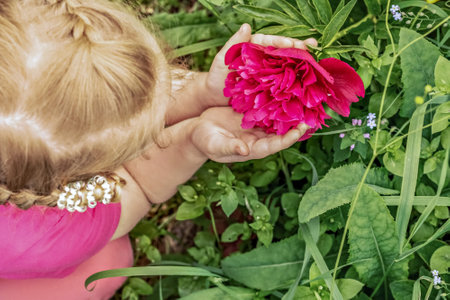 A little girl sits smiling at a flower bed in the garden of pink peonies.の写真素材