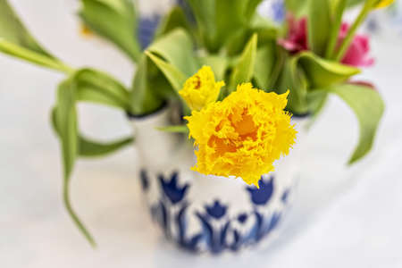 Yellow tulips in a vase in the garden. Spring. Bloom
