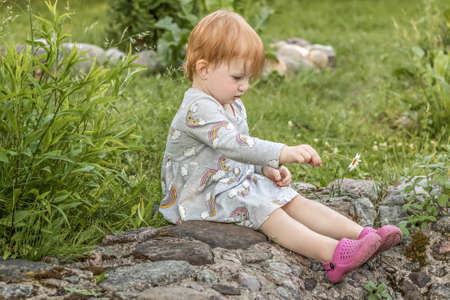 Little girl with red hair sits with a camomile in her hand in the garden among the greenery. Selective focus.のeditorial素材