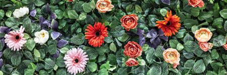 Background of spring artificial red chrysanthemums and peony roses in the garden. Spring. Blooming wall.Banner.の写真素材