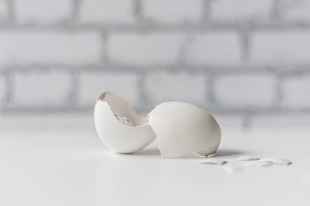 White eggshell of a broken chicken egg with shards isolated on a white background. White brick wall...