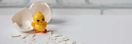 White egg shell of a broken chicken egg with fragments and a hatched chicken isolated. Easter.の写真素材