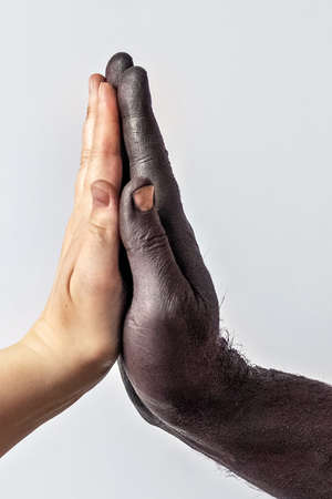 Background from a cactus on a yellow background. Plant texture with thorns.の写真素材