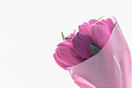 Background from a cactus on a yellow background. Plant texture with thorns.の写真素材