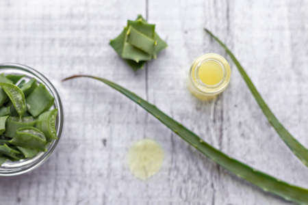 Pieces of aloe plant with gel inside in a glass bowl close-up. Alternative medicine. Collection of aloe juice, for the treatment of skin diseasesの写真素材