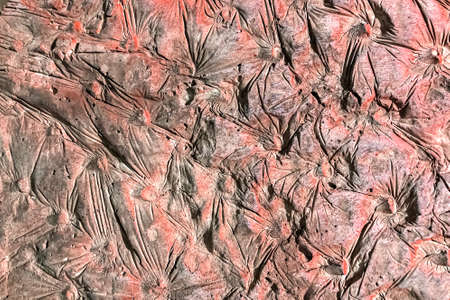 Abstract stone background. Plant texture bannerの写真素材