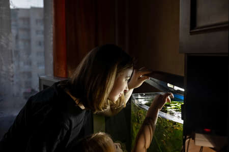 A young woman and a little girl feed fish in a home aquarium.の写真素材