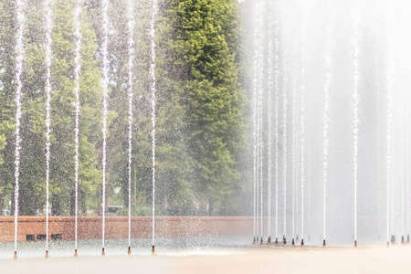Background of the jets and splashes of the fountain in the park.の写真素材