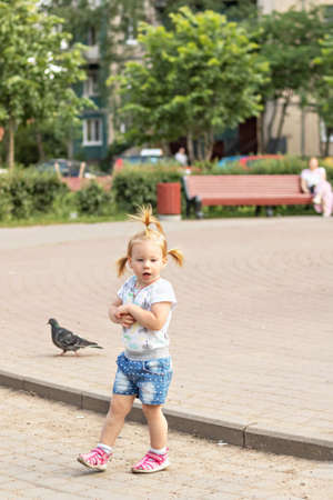 Little girl toddler runs after pigeons. Summertime.の写真素材