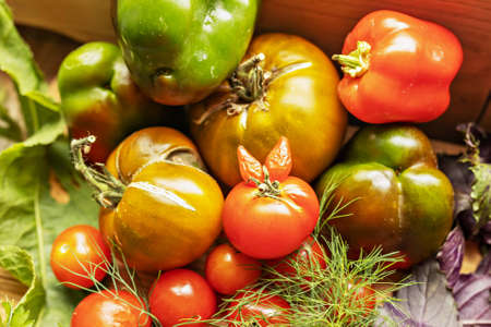Ripe vegetables with herbs on a wooden background.Harvest from the gardenの写真素材