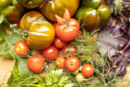 Ripe vegetables with herbs on a wooden background.Harvest from the gardenの写真素材