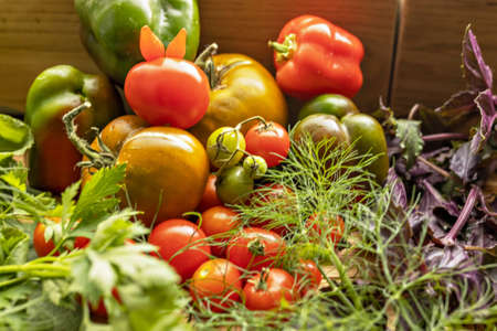 Ripe vegetables with herbs on a wooden background.Harvest from the gardenの写真素材