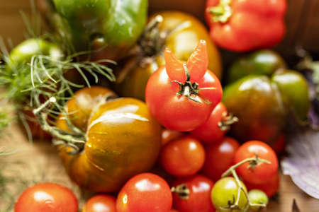Ripe vegetables with herbs on a wooden background. Harvest from the garden.の写真素材