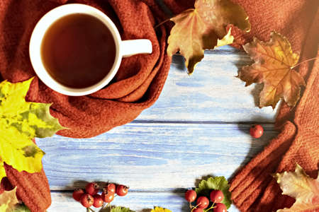 Autumn composition, a cup of hot tea, a warm terracotta scarf, fallen leaves and hawthorn berries on the background of a blue wooden table. Flat lay.の写真素材