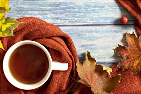 Autumn composition, a cup of hot tea, a warm terracotta scarf, fallen leaves and hawthorn berries on the background of a blue wooden table. Flat lay.の写真素材