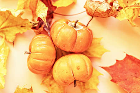 Autumn still life. Fallen maple leaves and orange pumpkins. Autumn harvest