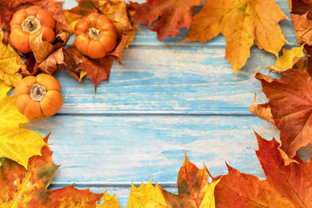 Autumn still life. Fallen maple leaves and orange pumpkins on a wooden blue background. Autumn harvest.の写真素材