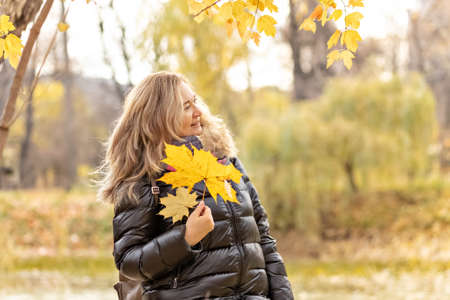 A young woman with yellow fallen maple leaves in her hands in an autumn park.の写真素材
