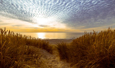 Dunes and beach at sunset on the Baltic Sea in the Kaliningrad region