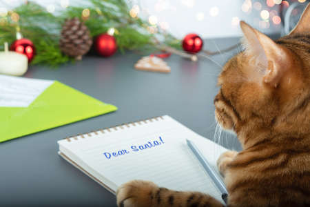 The cat is writing a Christmas letter to Santa Claus. Side view of a child sitting at a table with Christmas decorations and a blank white wishlist.の写真素材