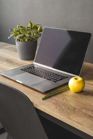 Laptop, apple and pencil on the desktop in the office. vertical shot.の写真素材