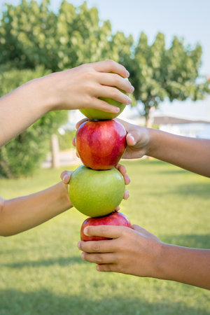Multi-colored apples in the hands on the background of the park. vertical shot.の写真素材