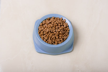 Dry cat food in a bowl on the floor in the room, top view